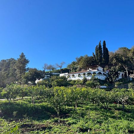 Finca Los Arcos Del Laurel Moya  Exteriör bild