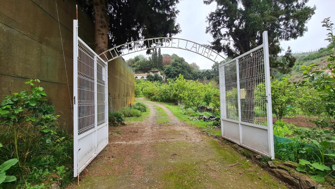 Finca Los Arcos Del Laurel Moya  Exteriör bild