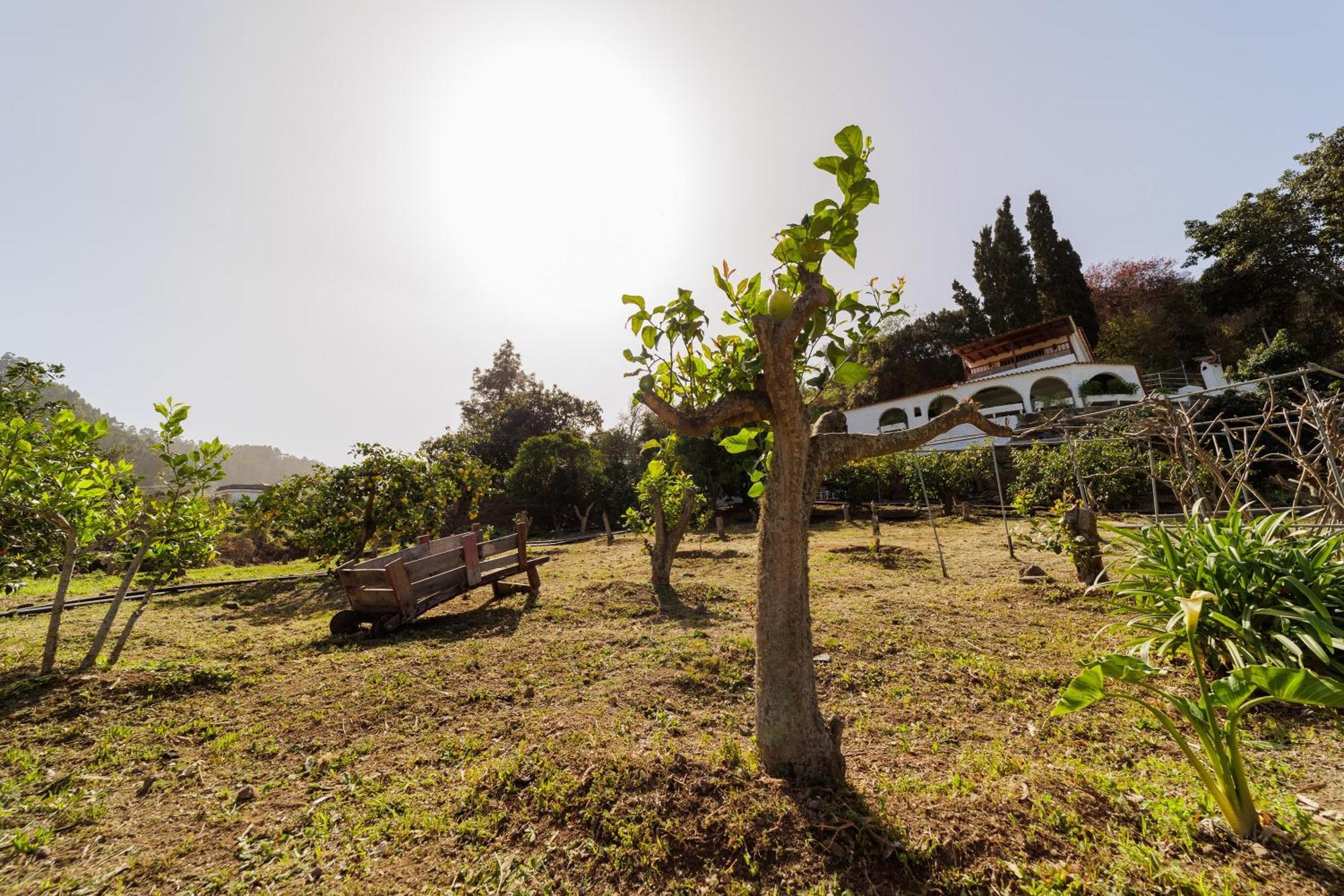 Finca Los Arcos Del Laurel Moya  Exteriör bild