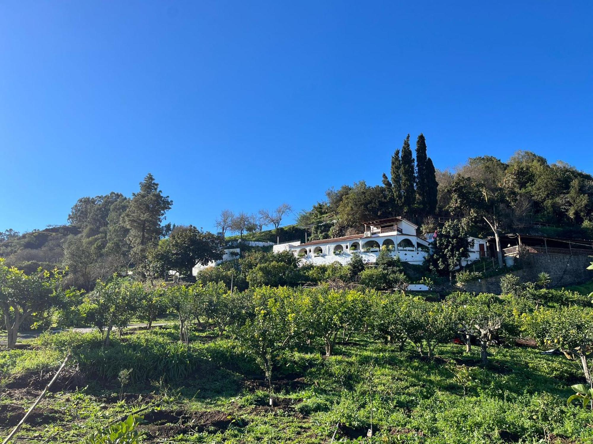 Finca Los Arcos Del Laurel Moya  Exteriör bild