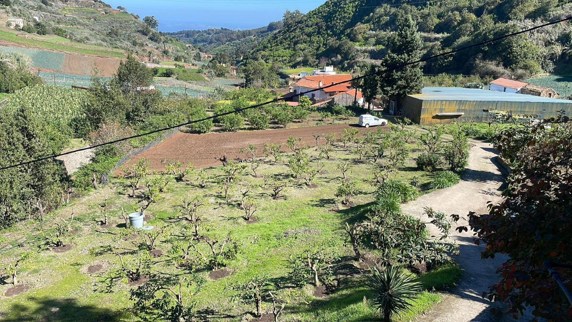 Finca Los Arcos Del Laurel Moya  Exteriör bild