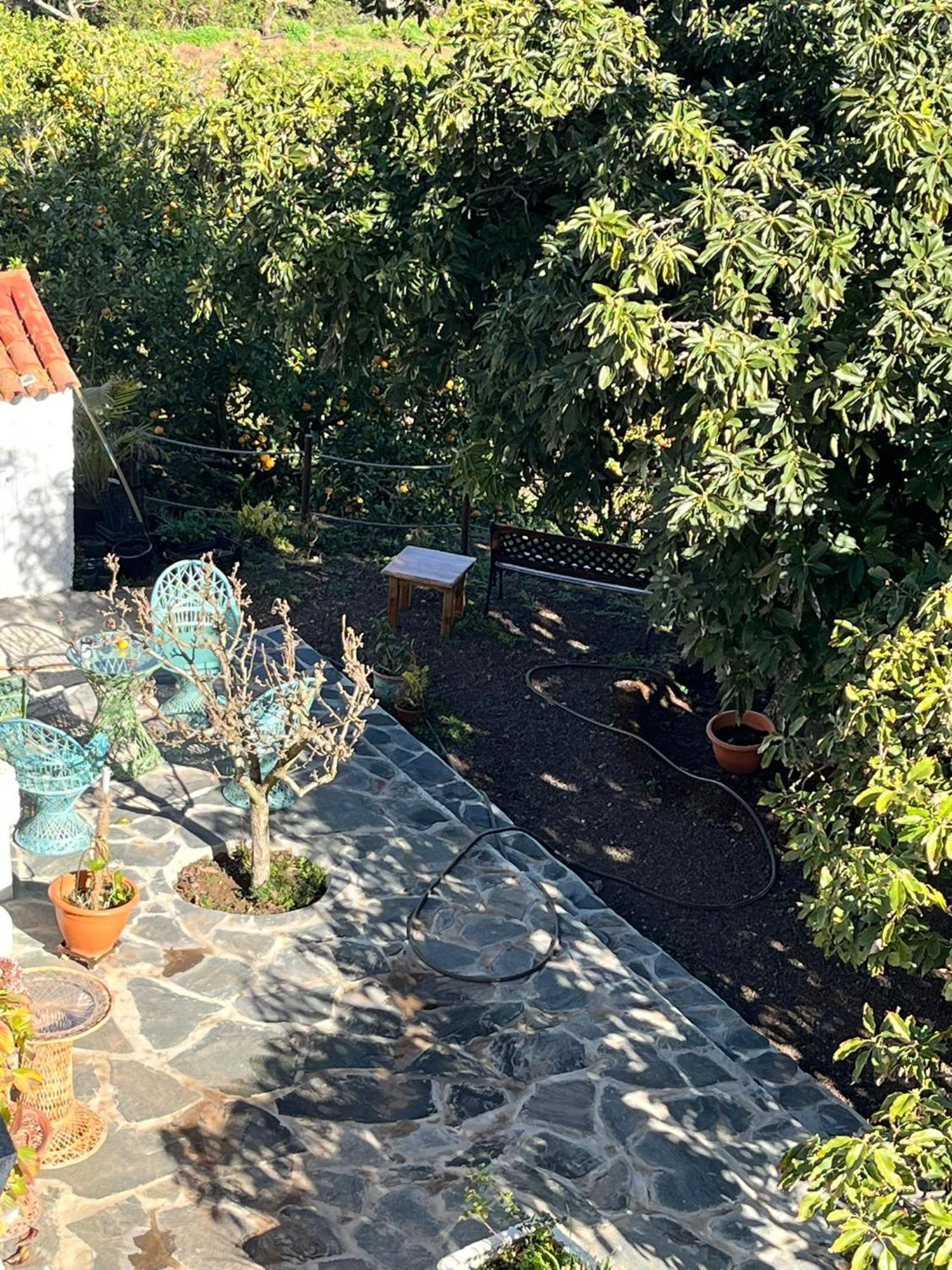 Finca Los Arcos Del Laurel Moya  Exteriör bild